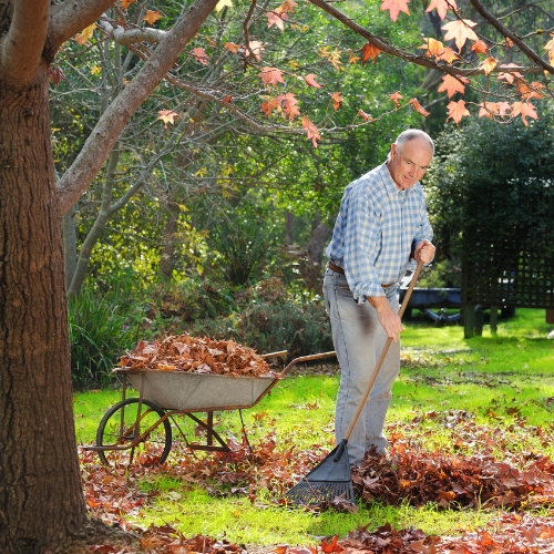 Do a Light Fall Garden Clean-Up