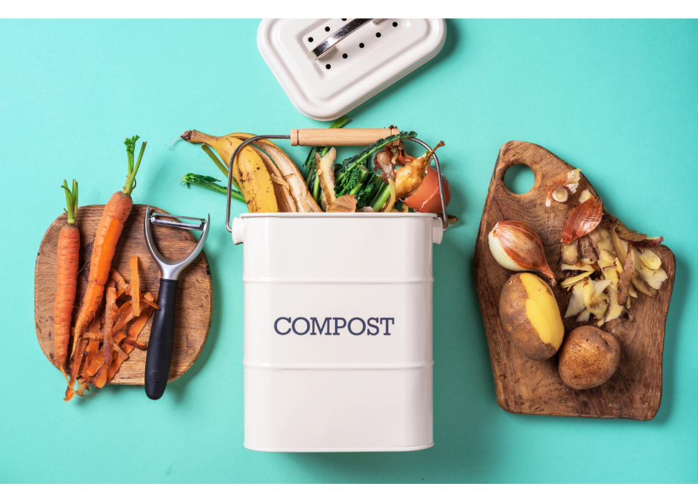 Compost Kitchen Waste