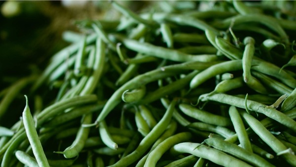 Consider Plant-Based Foods