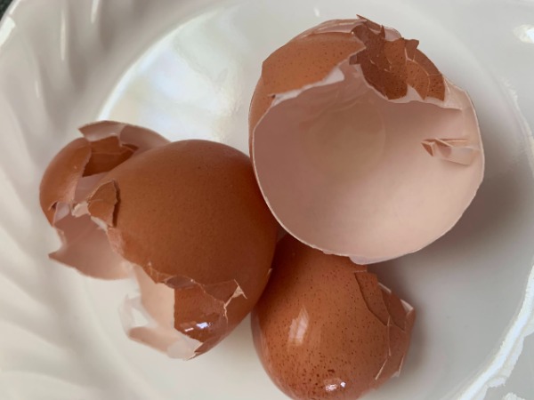 Composting Curbside Pick-up