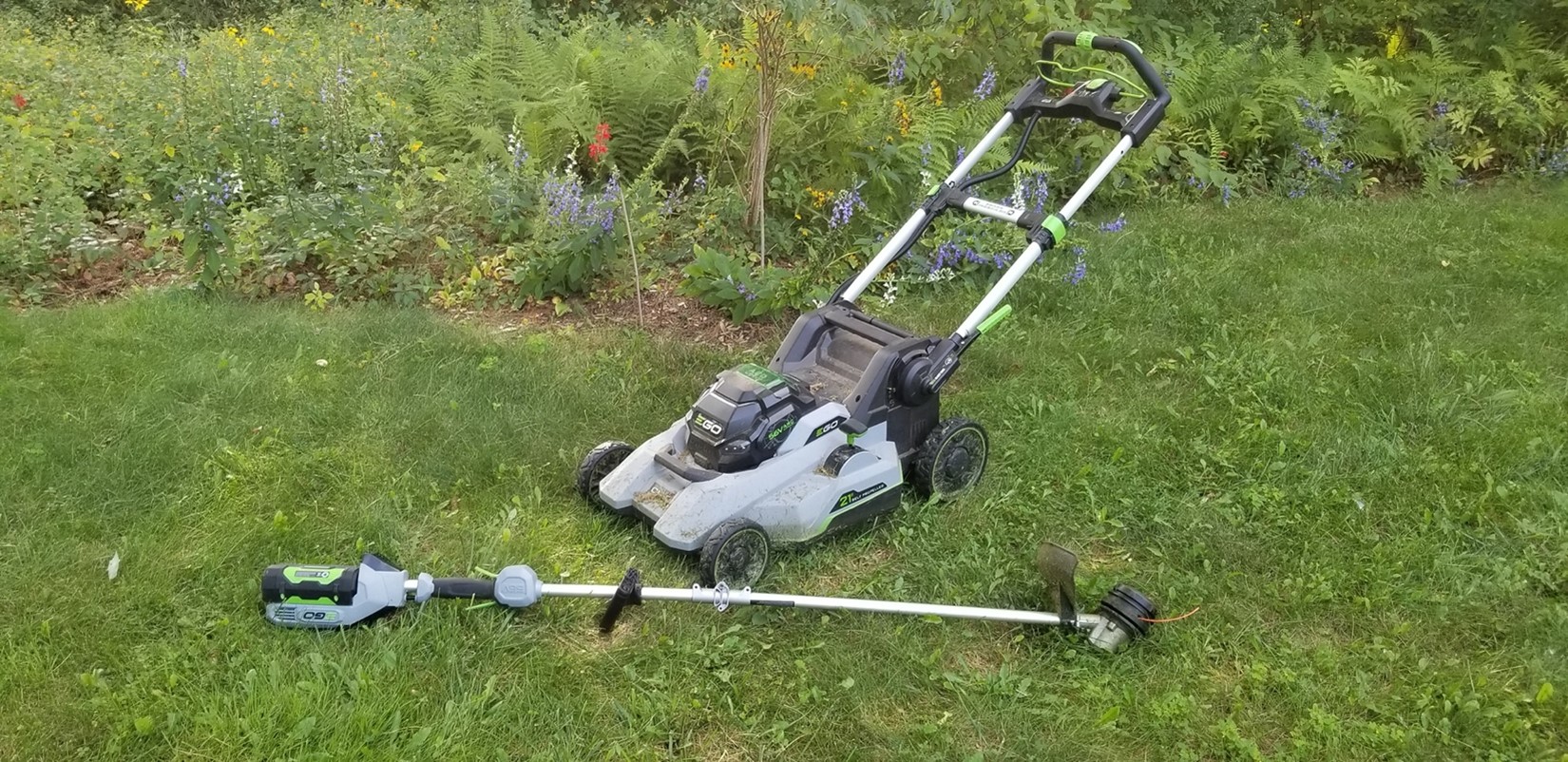 Practice Low-Impact Lawn and Yard Care