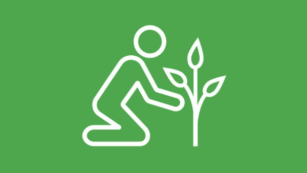 Ecological Landscaping 