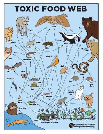 Protect Medfield Wildlife and Pets