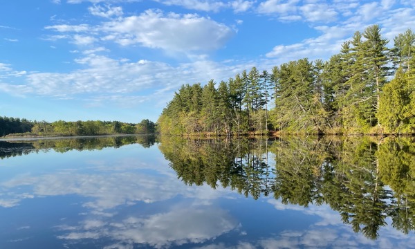 Reduce Use of Chemicals In Our Yards
