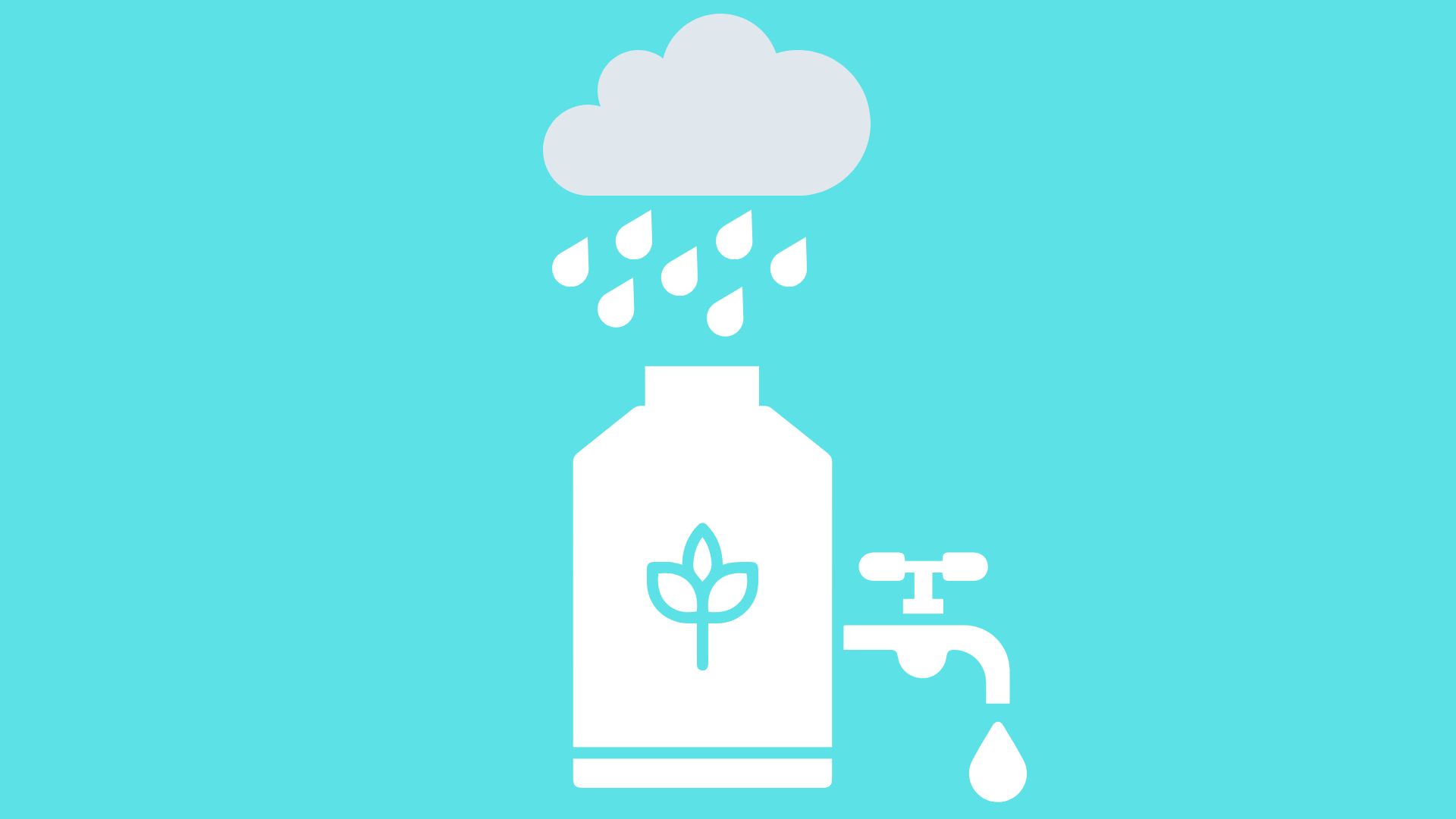 Discounted Rain Barrels (ends 6/25)