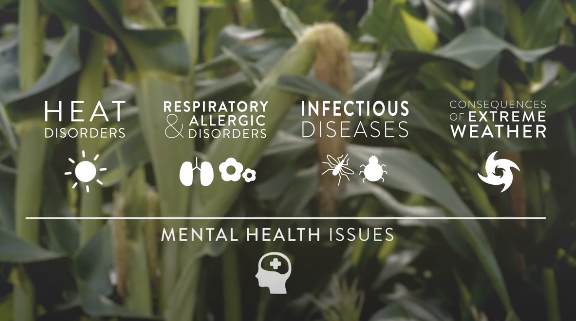 Learn about Climate Change & Your Health