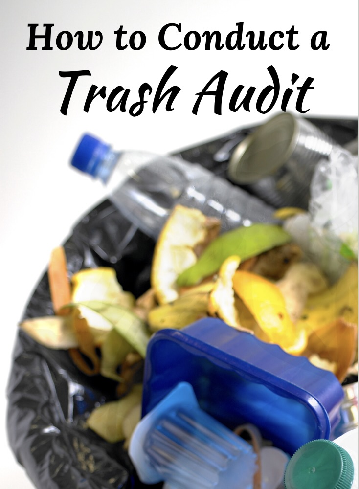 Audit Your Trash: Live More Sustainably