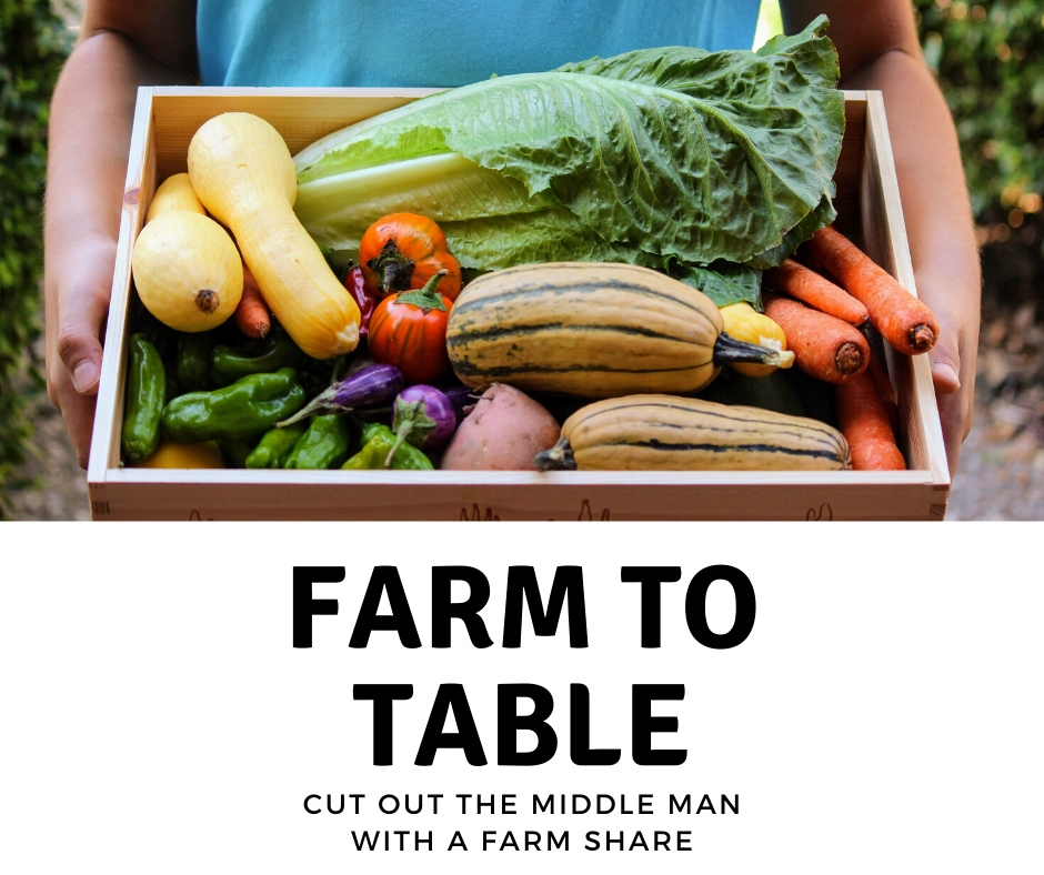 Buy Food from a Local Farm