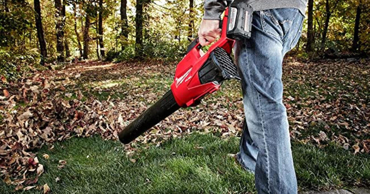 Let's phase out gas-powered leaf blowers