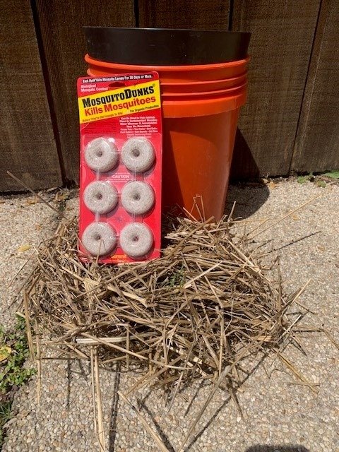 Responsible Mosquito Control Approaches