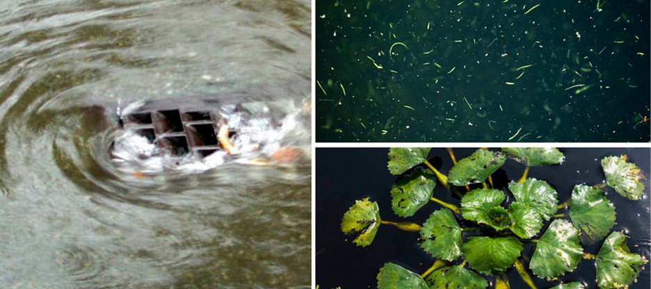 Clean Water - Clear Choices